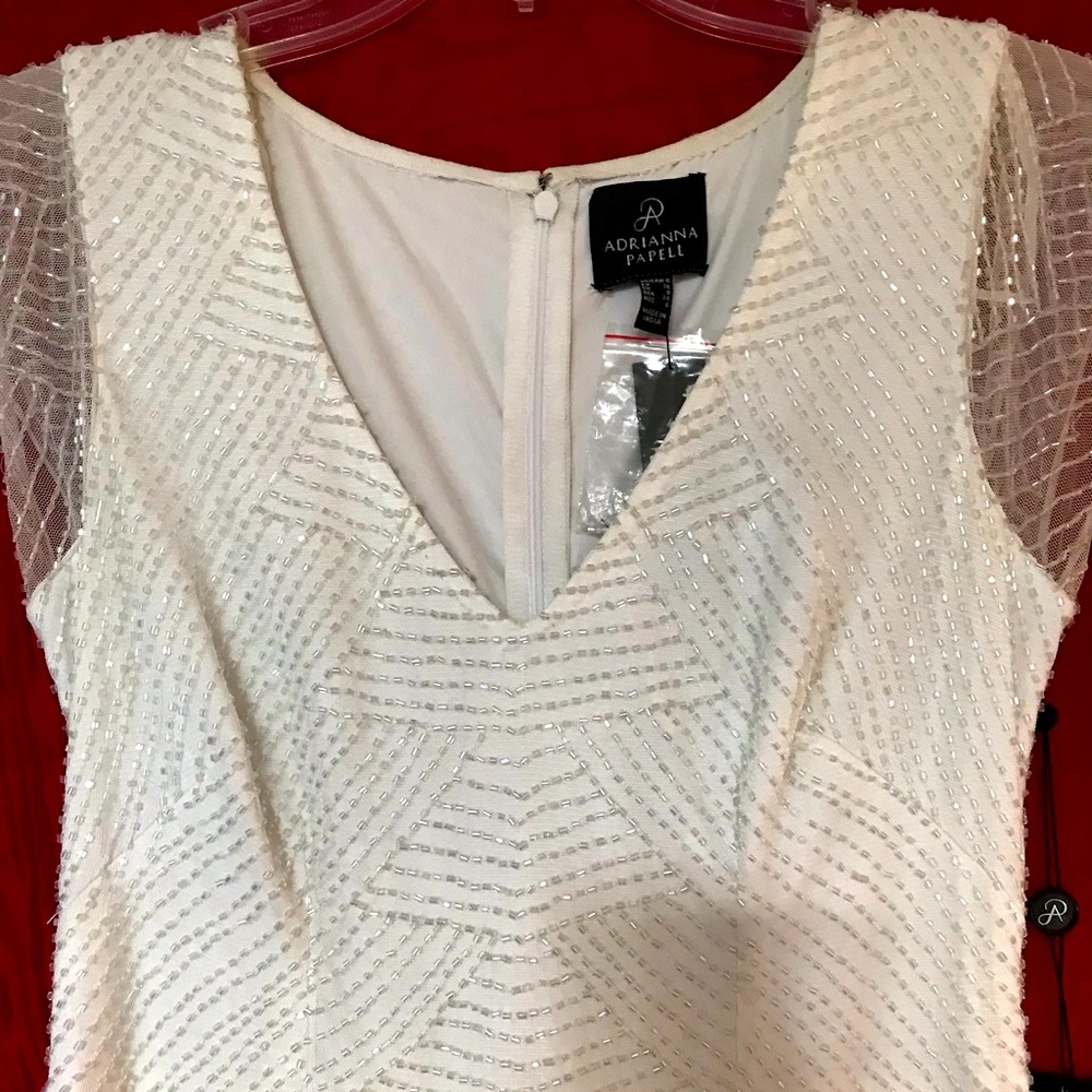 Adrianna Papell NWT Size 4 Dress